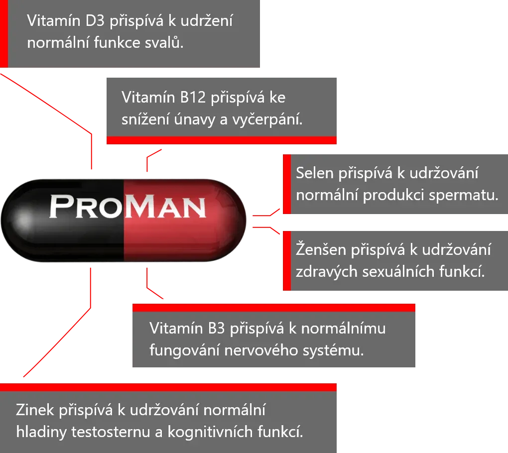 PromanPLUS obsahuje vitamín D3, vitamín B12, Selen, Ženšen, Vitamín B3 a Zinek