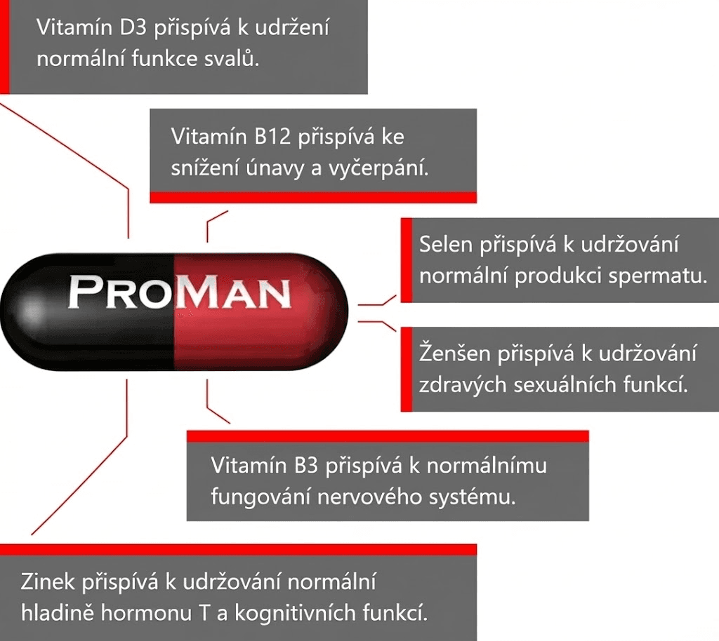 Ilustrace srdce s vitamíny