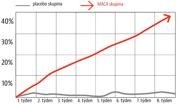 Graf studie, která potvrzuje že MACA není založena na placebo efektu, ale že zlepšuje libido až o 40%